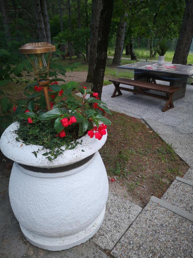 Pineta Villa Gračišče Екстериор снимка